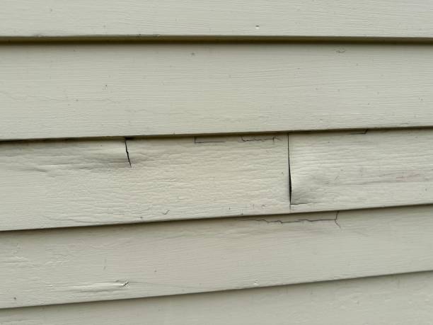 Best Siding for Commercial Buildings  in Alta, IA